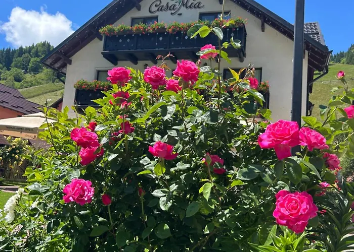 Casa Mia Hotel Moeciu De Sus